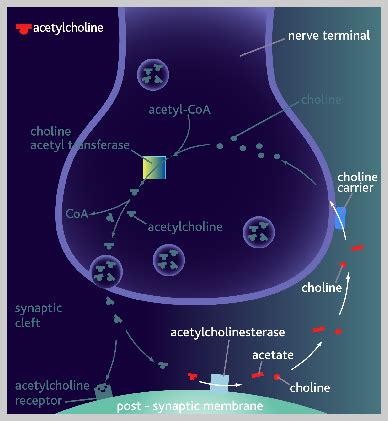 how does vx gas work|how to make vx.